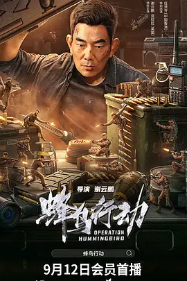 蜂鸟行动 (2026)