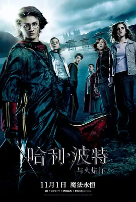 哈利·波特与火焰杯 (2005)